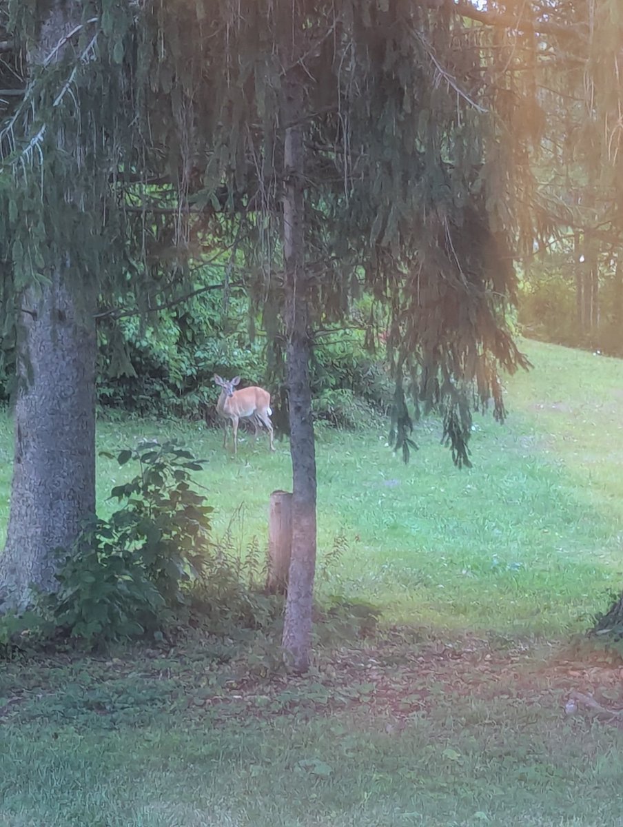 Looking out the back Window. 😃