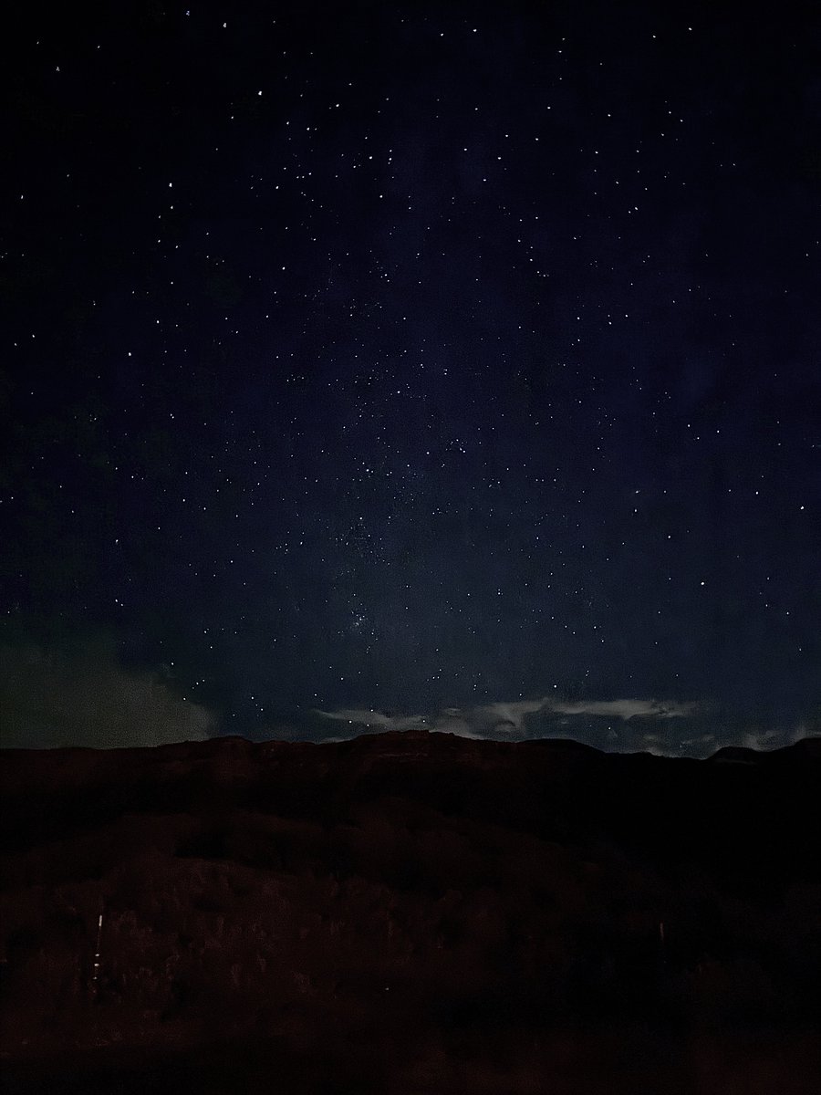 star puppy ⭐️🦮