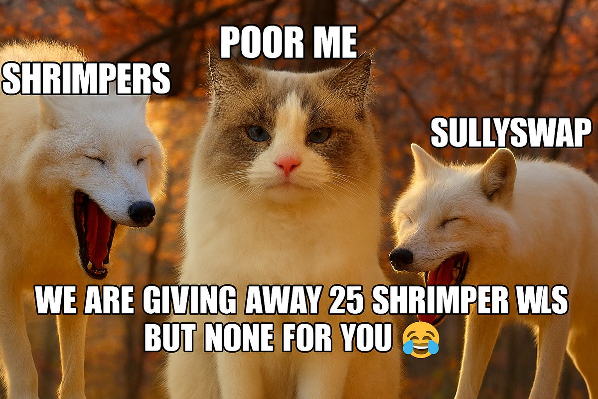 Boa Hancock Ⓜ️Ⓜ️T tweet media