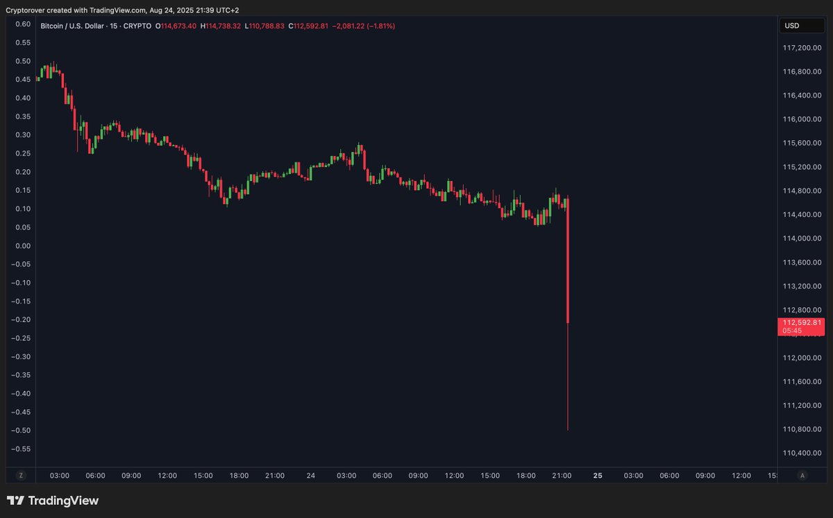 🔴ROVER: Bitcoin crolla di $4,000 in pochi minuti: notizia flash!