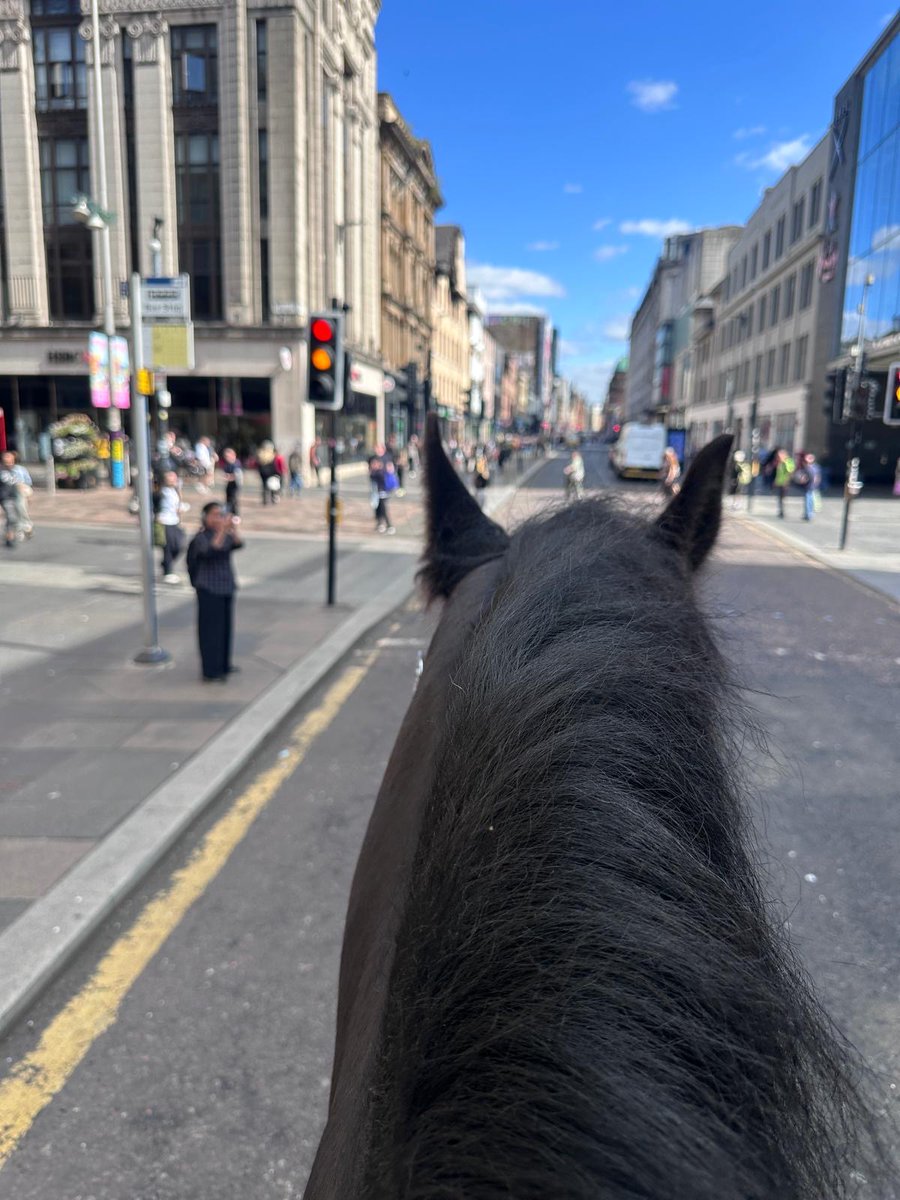 Police Scotland Horses (@psoshorses) on Twitter photo The Polive Horses have had a busy week. They’ve assisted colleagues at 3 football matches at Ibrox, Easter Road and Stark’s Park. They’ve also patrolled Glasgow & Edinburgh city centres, Kilmarnock & Motherwell. <a href="/PSOSGreaterGlas/">Police Scotland Greater Glasgow</a> <a href="/PSOSFife/">Police Scotland Fife</a> <a href="/PSOSLanarkshire/">Police Scotland Lanarkshire</a> <a href="/PSOSEdinburgh/">Police Scotland Edinburgh</a> The Polive Horses have had a busy week. They’ve assisted colleagues at 3 football matches at Ibrox, Easter Road and Stark’s Park. They’ve also patrolled Glasgow & Edinburgh city centres, Kilmarnock & Motherwell. <a href="/PSOSGreaterGlas/">Police Scotland Greater Glasgow</a> <a href="/PSOSFife/">Police Scotland Fife</a> <a href="/PSOSLanarkshire/">Police Scotland Lanarkshire</a> <a href="/PSOSEdinburgh/">Police Scotland Edinburgh</a>