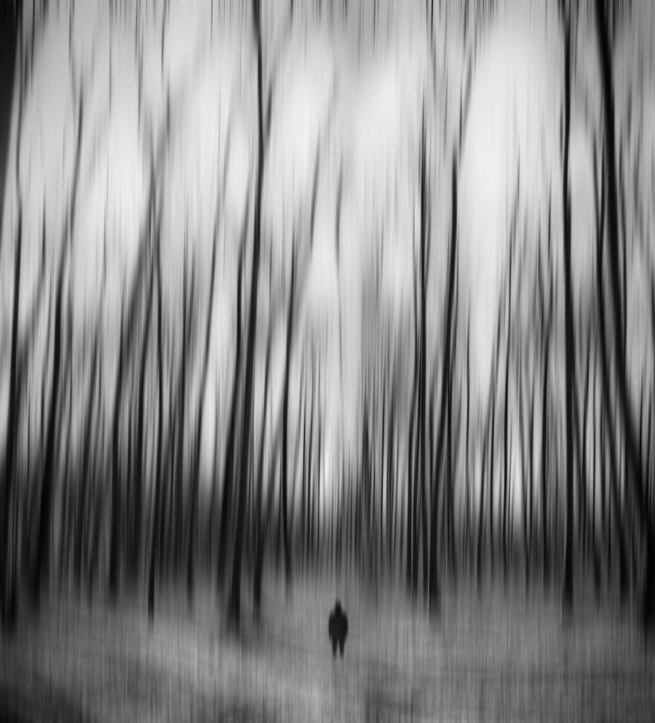 Auction ends in 17 hours ⏳
0.0001 ($0.48)🔴
Who will make the next offer?🥲