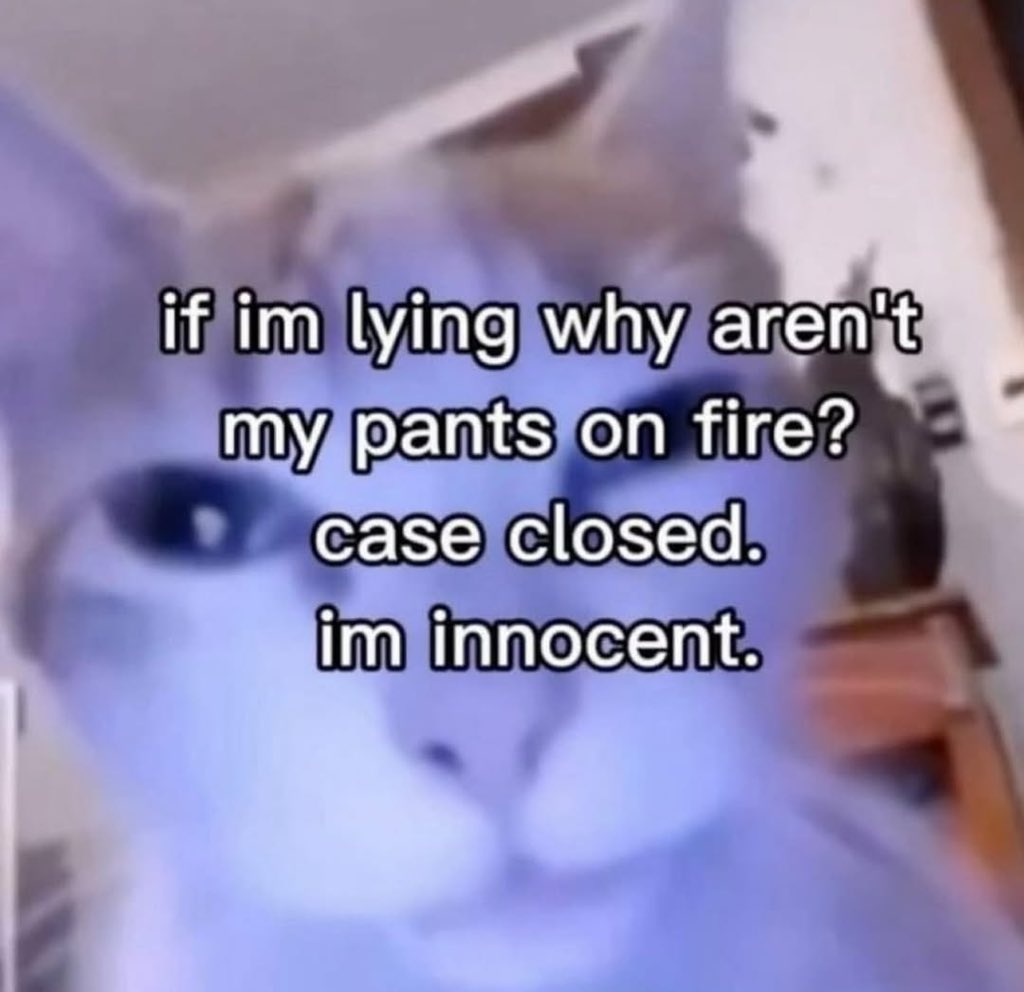 literallymecats's tweet image. 