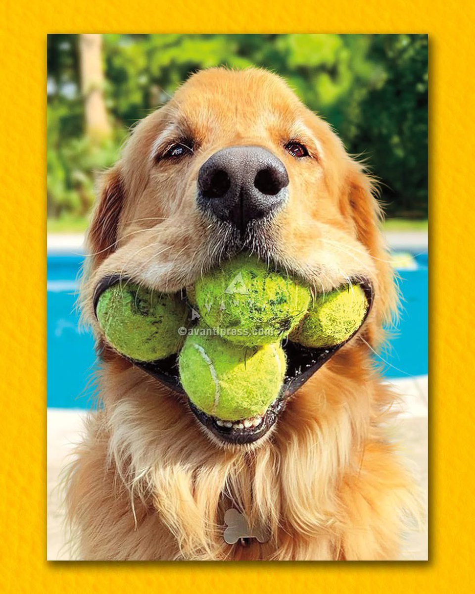 🎾 time.  Good luck to all!