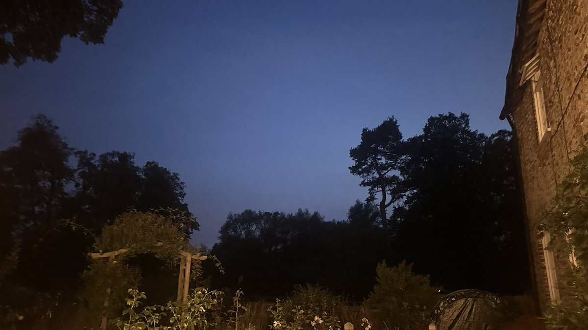 Sitting outdoors with a bat detector on and we were treated to a flyby by an enormous greater horseshoe bat - the Globemaster of the bat world.🦇