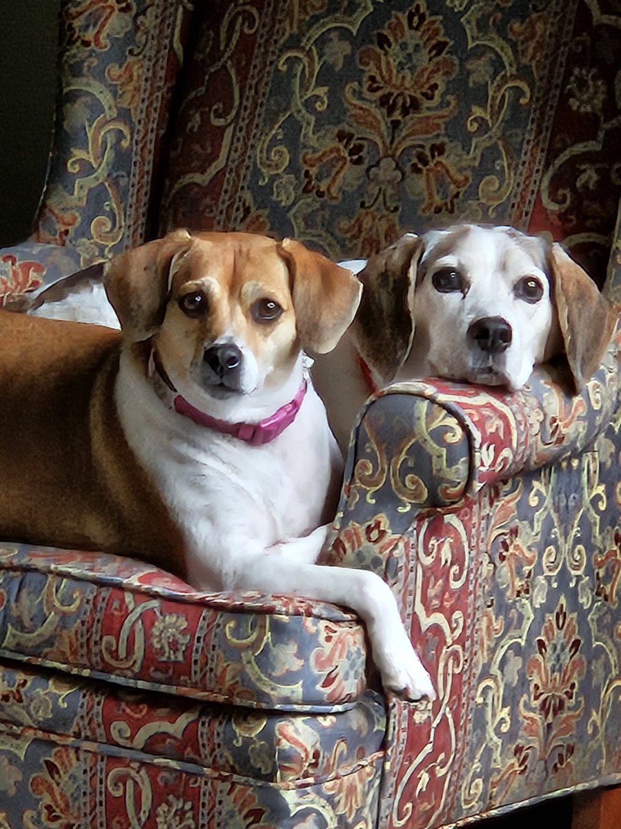 Davy Jones (@deadmanssquid) on Twitter photo 