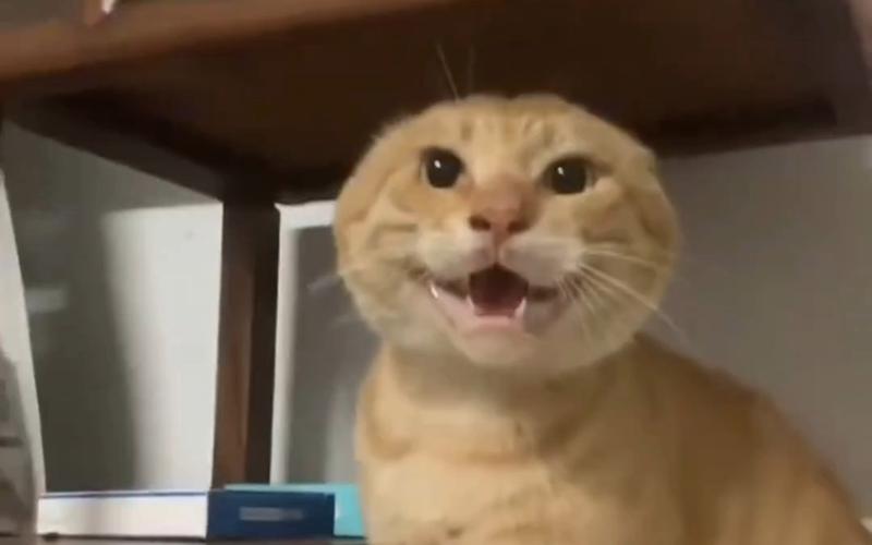 想起来我们见面的那个晚上，你洗完澡换完衣服浑身香香的，我就让你趴在我身上这样就可以抱着你然后偷偷的史诗级过肺。持续了一段时间之后你翻了下去就枕着我的手臂睡了
第二天我比你早醒的时候感觉整个手臂都没知觉了，但是看你睡得那么香，就无所谓了
我还偷偷亲了你一口，我觉得我好幸福啊