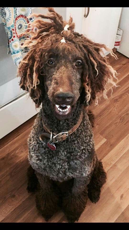 What’s his rap name ?