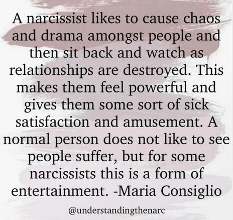 The Narcissist Box (@narcissistbox) on Twitter photo 