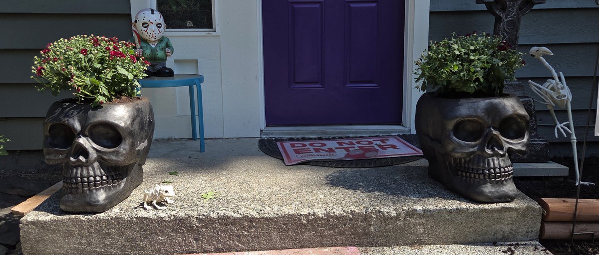 My front door skull planters.