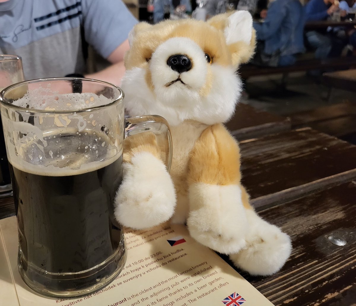 Last day in Prague, the fennec's in the zoo are free, you can just take them