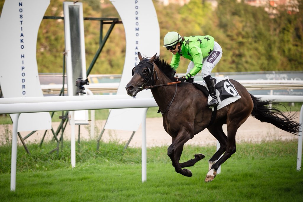 Yeg. 7Iglesias/Noozhoh Canarias (@alliron_2023) on Twitter photo Hoy gran día para los nuestros, victorias de Arzúa (Crit. Internacional) y Dallas con un 2º de Faith Rose para #NoozhohCanarias, y victorias de Bruno #FirstEleven y de Pamplona, #LightningMoon en <a href="/HipodromoSnSn/">Hipódromo de San Sebastián - Donostiako Hipodromoa</a> 📷 Hoy gran día para los nuestros, victorias de Arzúa (Crit. Internacional) y Dallas con un 2º de Faith Rose para #NoozhohCanarias, y victorias de Bruno #FirstEleven y de Pamplona, #LightningMoon en <a href="/HipodromoSnSn/">Hipódromo de San Sebastián - Donostiako Hipodromoa</a> 📷