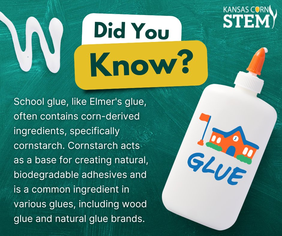 Corn isn't just for the dinner table—it's in your school supplies too! Many types of school glue use corn-derived ingredients as a natural adhesive. That’s some sticky science!
#kscorn #STEM #cornfacts #backtoschool #education #scienceinsupplies #cornpowered