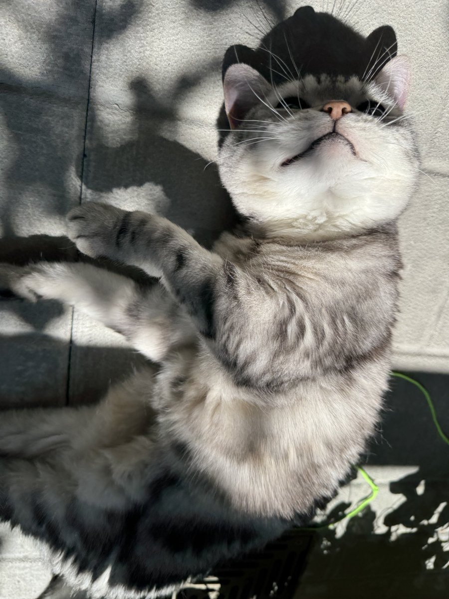발라당 ✨