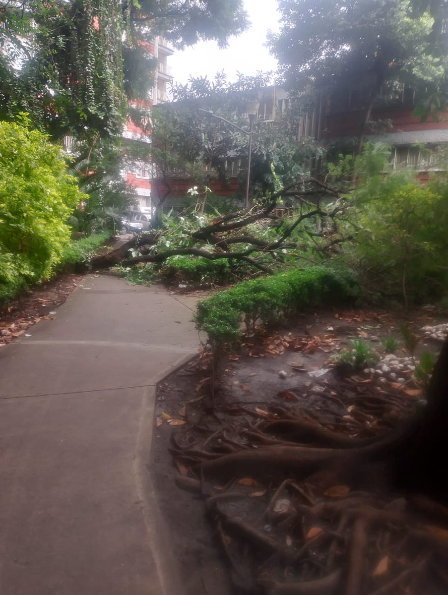 Luis Santamaría tweet media