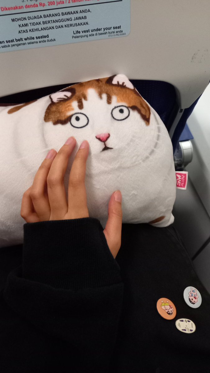 ZomBee74's tweet photo. @KucengTerbanggg Aku punya bantal gemas kak https://t.co/MqmubPjhoL