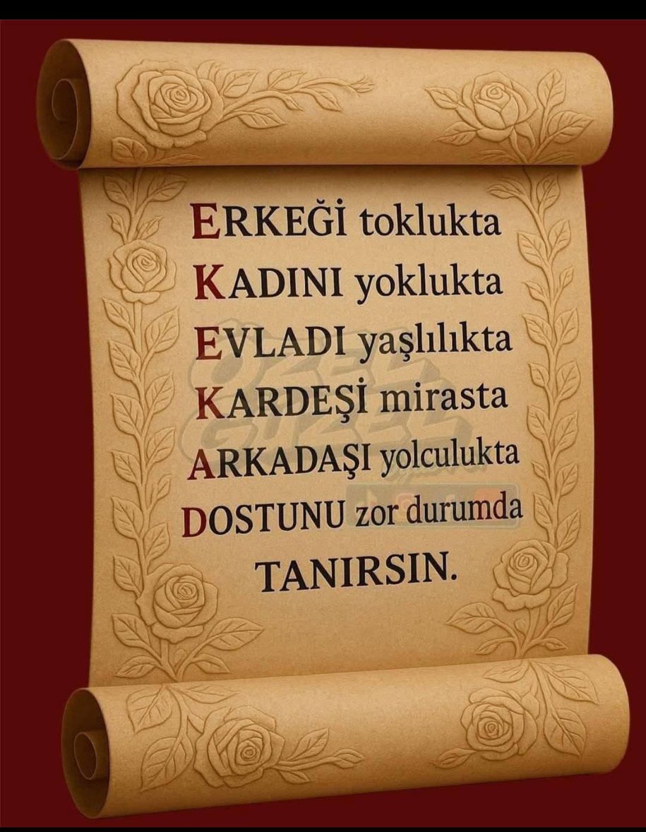 Aykanur Biley (@bileycinaim) on Twitter photo 