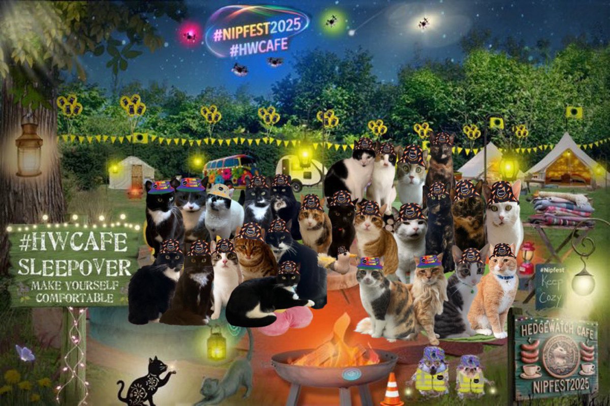 Lovely time at the #AngelKittyConcert at #nipfest2025, it’s always such an emotional one.
we’re now at the #HWCafe sleepover having smores and hot chocolate