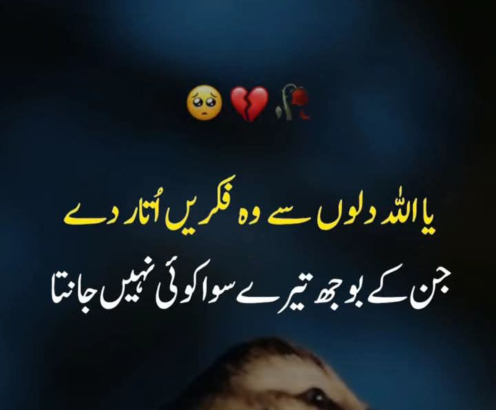 امین ثم امین شب بخیر اللہ حافظ 
#راہ_حق_کا_مجاہد_عمران_خان
<a href="/10Muskann/">M̆̈ꀎՏk̆̈αŋ ᵏʰᵃⁿ🩵</a> 
<a href="/14__pari/">Pari khanᴸᵉᵍᵉⁿᵈˢ</a> 
<a href="/lisaawrite/">lisa🩸</a> 
<a href="/369_Sch/">Professor Rose</a> 
<a href="/786G_/">Ghazala Abbasi.</a> 
<a href="/SaharKhan0/">🌹saharkhan🥀</a> 
<a href="/PTIJAPANNNNN/">PTI JAPAN🇵🇸❤️#804</a> 
<a href="/Aliya__khan0/">عالیہ خان 🌾🕊</a> 
<a href="/_its_kanwal/">Kanwal Naz ᴾᴬᴷᴿⁱˢⁱⁿᵍ</a> 
<a href="/i__mRabi/">Rabia Khan</a> 
<a href="/ZonaishaRani1/">❣️زونیشہ رانی</a> 
<a href="/aminullah990/">aminu allah</a> 
<a href="/IshaqKhawa41109/">Ishaq khan</a> 
<a href="/allmas20765690/">Shaheen.🌎</a> 
دعاؤں میں یاد رکھنا 🤲