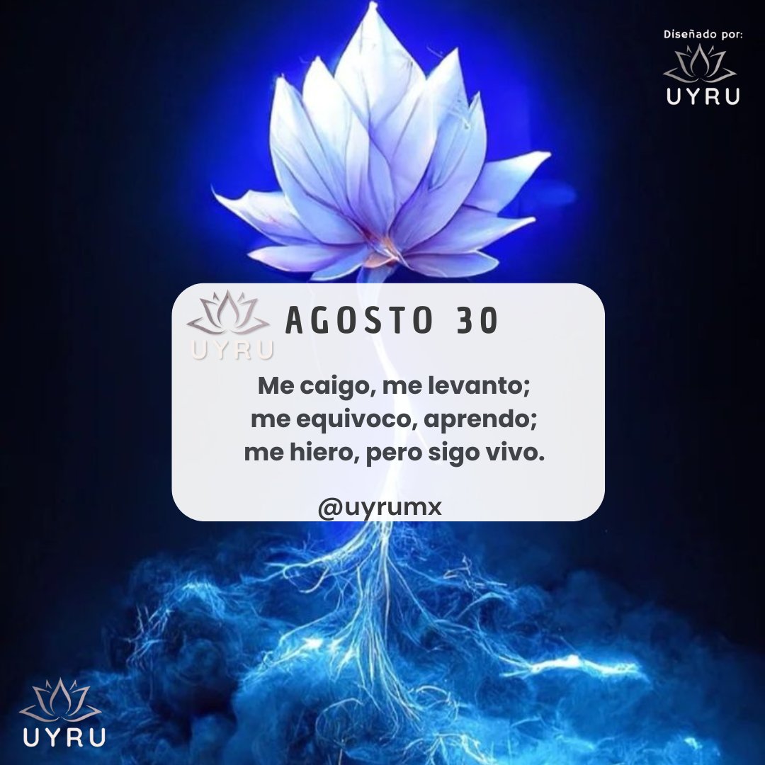 Me caigo, me levanto;
me equivoco, aprendo;
me hiero, pero sigo vivo.
#abrazodeosovirtual #vida #amor #esperanza #libertad #pensamiento #criterio #reflexion #convivencia #actitud