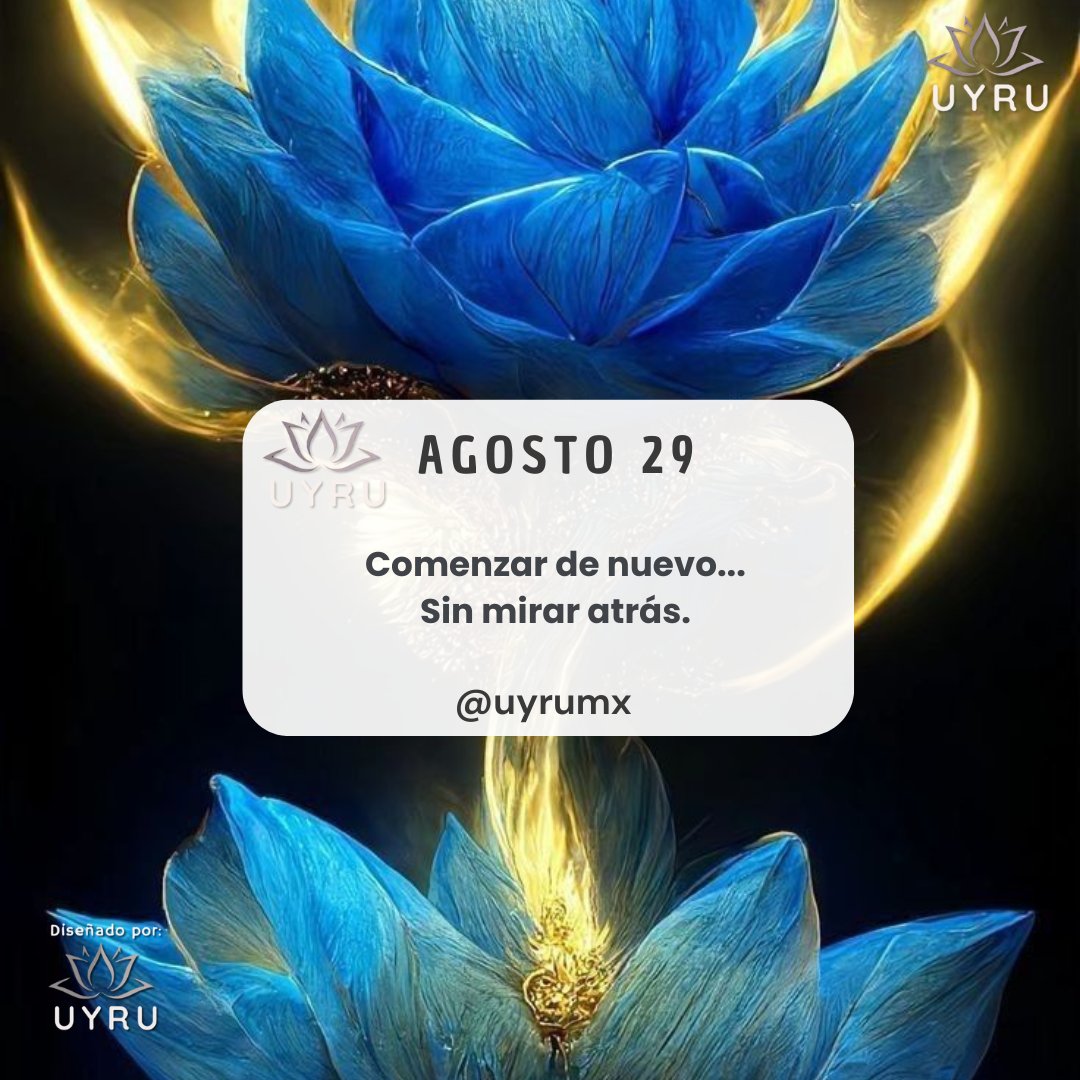 Comenzar de nuevo...
Sin mirar atrás.
#abrazodeosovirtual #vida #amor #esperanza #libertad #pensamiento #criterio #reflexion #convivencia #actitud