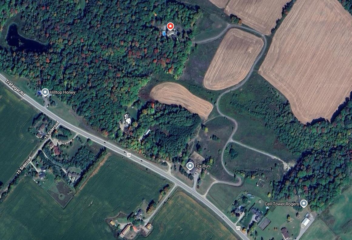 NicholastheWise's tweet image. #EastIndian #GarbageDumping #Ontario #jeets