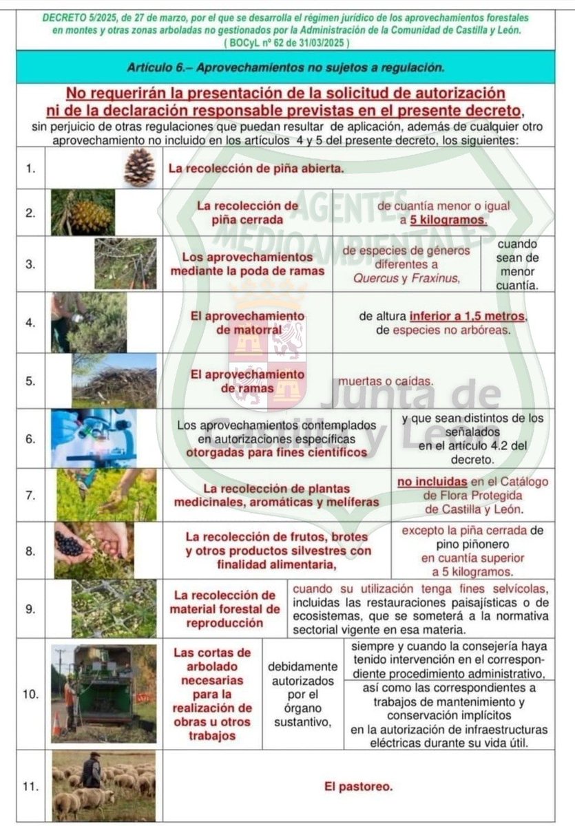 WildlandFirefig tweet picture