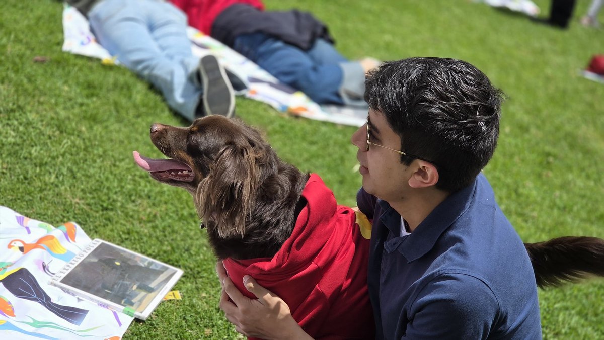 BibloRedBogota's tweet photo. 🎨📚 La creatividad, el arte y la literatura fueron la clave para disfrutar una tarde especial en el Parque San José de Bavaria, donde compartimos con el Laboratorio Creativo de Serpiendipia, la actividad Leer en familia y, por supuesto, nuestro picnic literario 🍉✨. Todo esto hizo parte del Bum Bum Festival: La cultura que nos une.