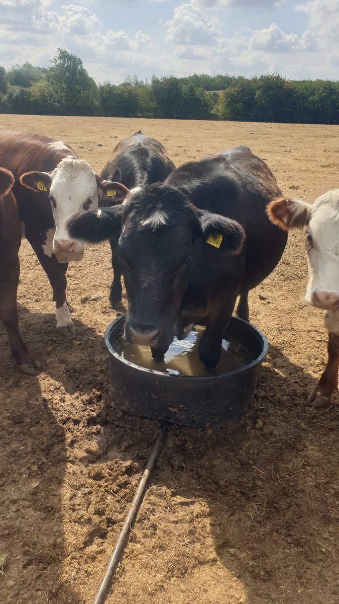 This is a new one for me! The all new kiwitec paddling pool!