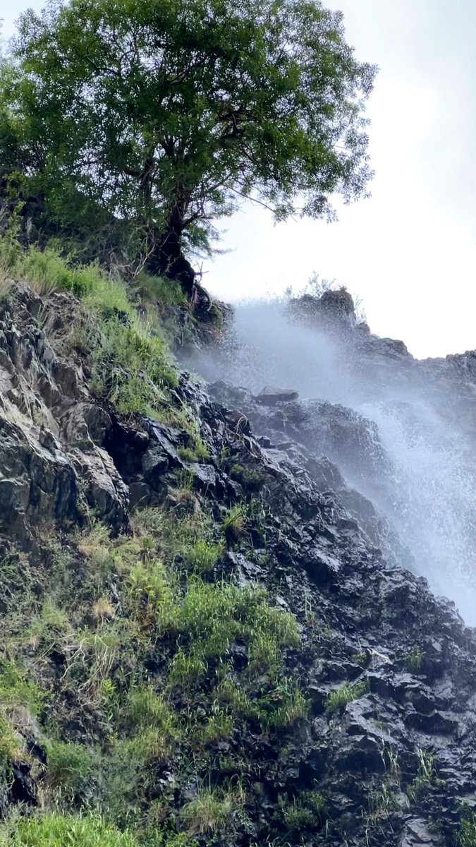 axsha____'s tweet image. let’s get lost in the mountains together