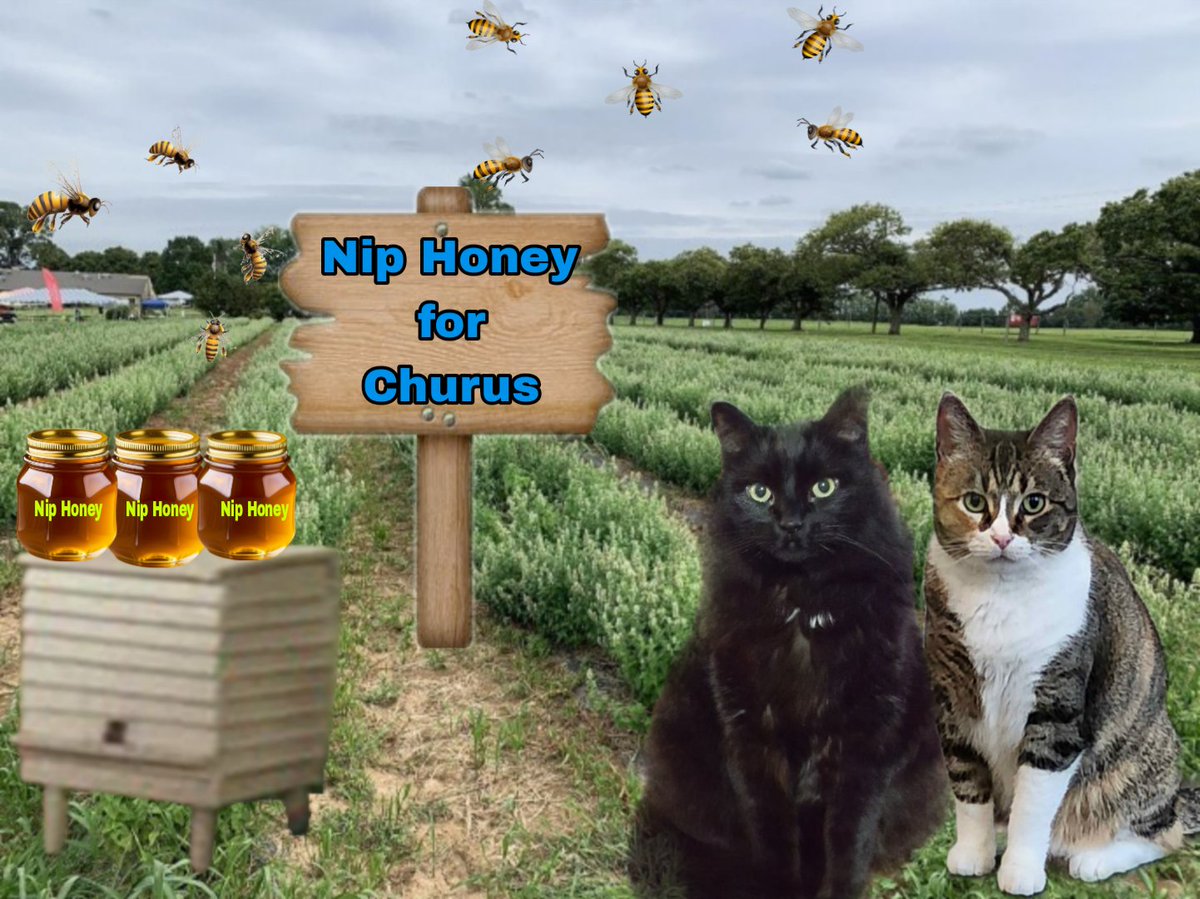 Hekili&Ranger & Lynn Riemer. ππππ (@hibiscuslynn) on Twitter photo *Hekili and Marla wonders if beekeeping would be a good side business* <a href="/MightyHuntress1/">The Mighty Huntress</a>
#NaughtyPetsClub
#Nipfest2025 *Hekili and Marla wonders if beekeeping would be a good side business* <a href="/MightyHuntress1/">The Mighty Huntress</a>
#NaughtyPetsClub
#Nipfest2025