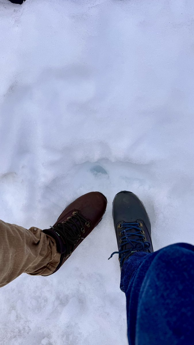 Raygrelopi's tweet photo. Una aventura más, esta vez sobre hielo @jose_233 ❤️ https://t.co/35yW5vRZb1