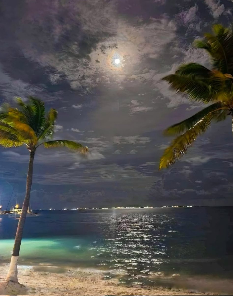 💙CrisBlu💙 (@crisblu1) on Twitter photo 