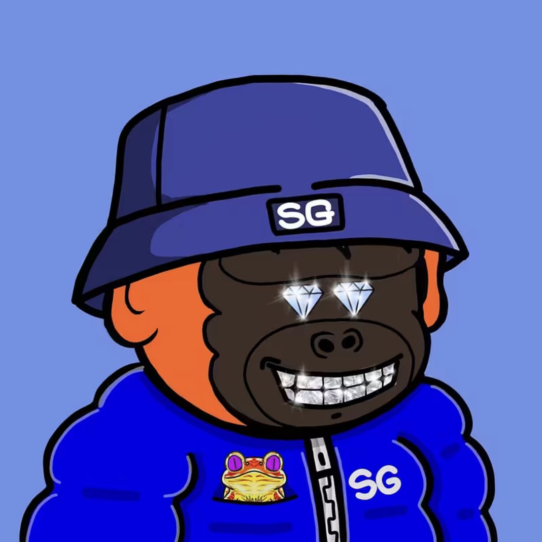 The Snout Bears got its Start in Feb of 2024!  It was a Free Mint on Pol a Collection of 8k Snout Bears!  Then the owner launched a second mint &amp; things took a turn at that point!  He said his name was Daniel from Brazil.  He ghosted the community in April of 24’ sound familiar?