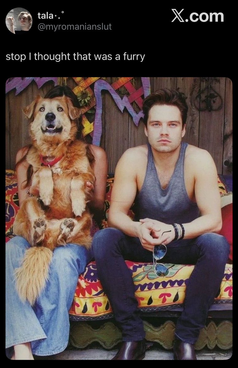 seb stans struggle (@sebstanstruggle) on Twitter photo 