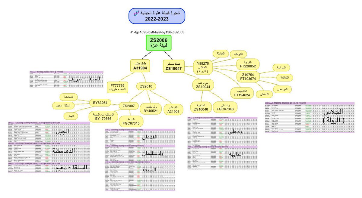 يسرّني أن أعلن عن نتيجة جديدة✨
من 📍الرياض – المملكة العربية السعودية 🇸🇦

للأخ: عبدالرحمن السحالي المطرفي العنزي
التحور الجيني: J-BY8
وهو متطابق مع بقية نتائج عنزة على التحور ZS2003

رقم العينة: 1030196