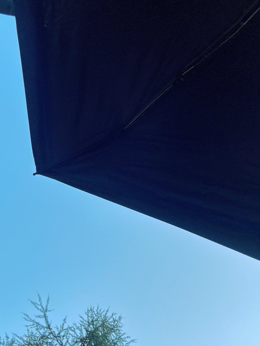 おはようございます☀

月曜日もぼちぼちマイペースでいきましょう🙋

間も無く夏も後わずかですね😊
暑いけど🫠

#イマソラ
#即席ラーメンの日
#再生の道