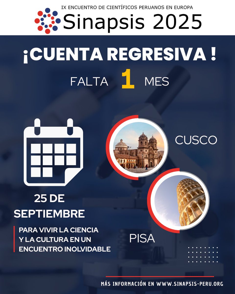 Sinapsis tweet media