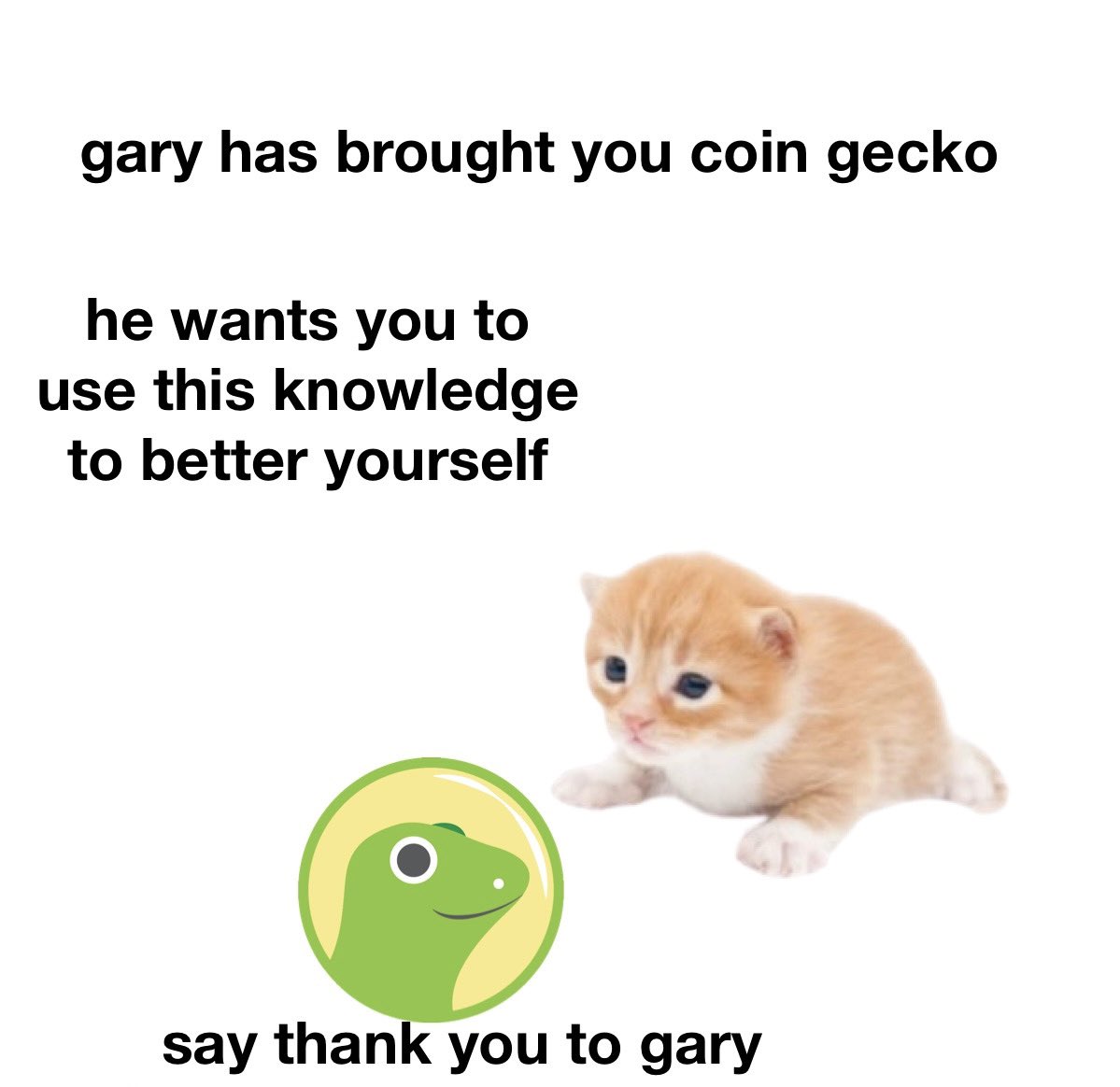 <a href="/coingecko/">CoinGecko</a> $GARY