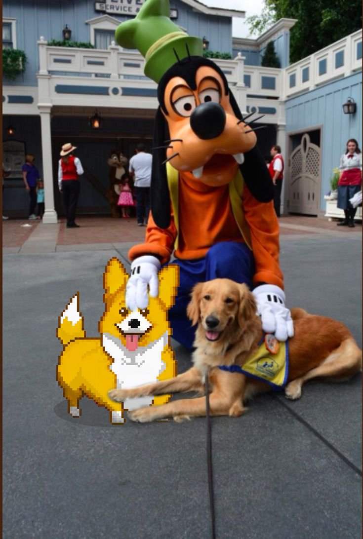crypto_corgis's tweet photo. playtime

og #nft on $eth #ethereum made by #phantomwallet dev $sol also $corgi on #base #basezn #memecoins $sol $meme $doge $keycat $eth $base $doge $wif #crypto #altszn $alts https://t.co/PyXuvm1ewa