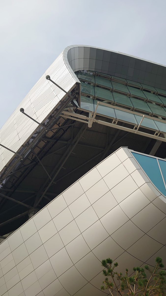 Photo my wife took today. Needs to click on it properly to see it fully