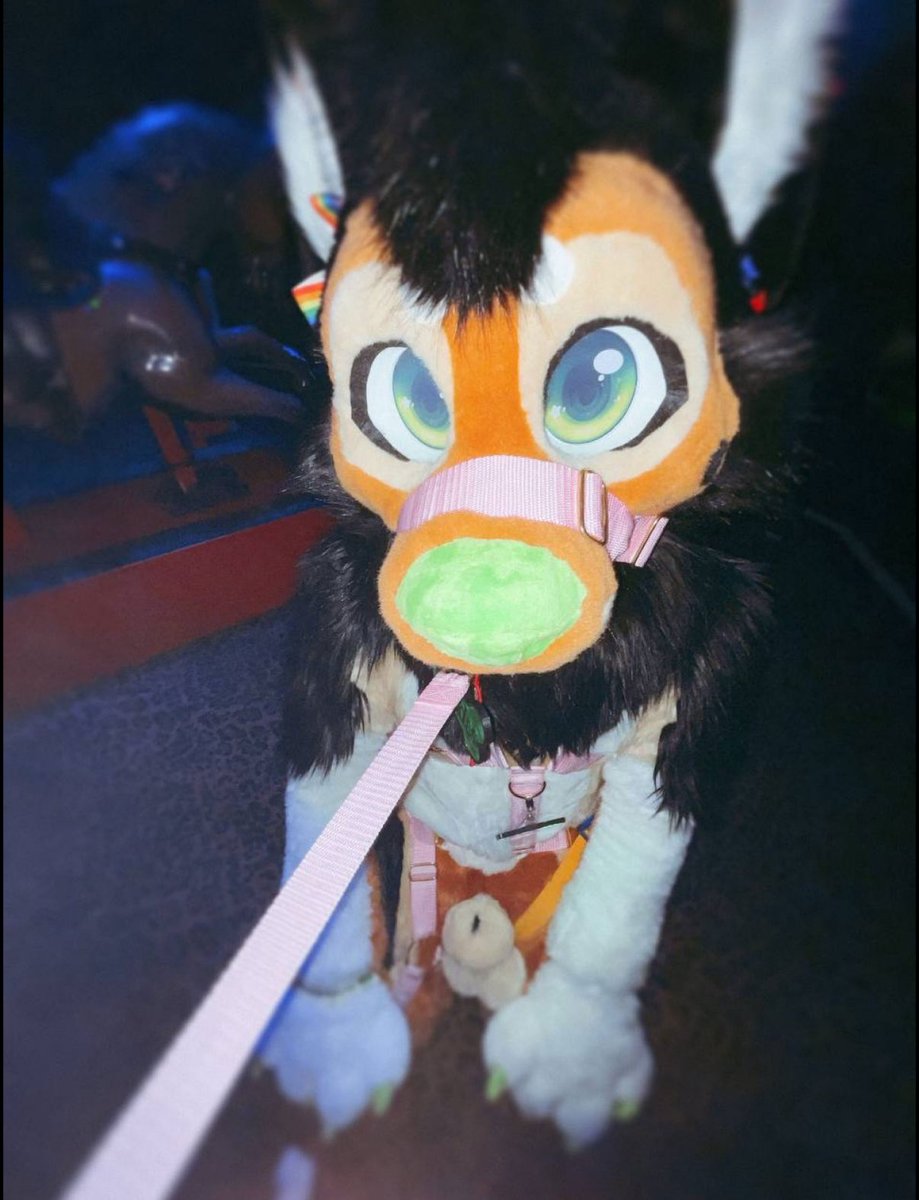 Megaplex is coming up fast… who’s bold enough to tug my leash and drop me right to my knees? 🐶💦
better hope I behave once I’m down there 😈
———-
Megaplex do’s &amp; dont’s

        Do’s
✅ Be chill &amp; come say hi (seriously, I love it 💕)
✅ Hugs are always okay — grabby ones too