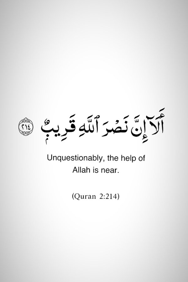 VerseQuran's tweet image. 