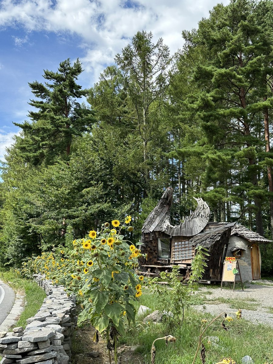 おはようございます𓂃𖤥𖥧𖥣⋆*

8月最終週
いよいよ週末は
#NAKAMATOMEETING_VOL4
北海道ですね！

久しぶりに3人に会えるの楽しみです

一笑懸命テキトーに　ʚ🌸ɞ

#SMAP  #私の_世界に一つだけの花