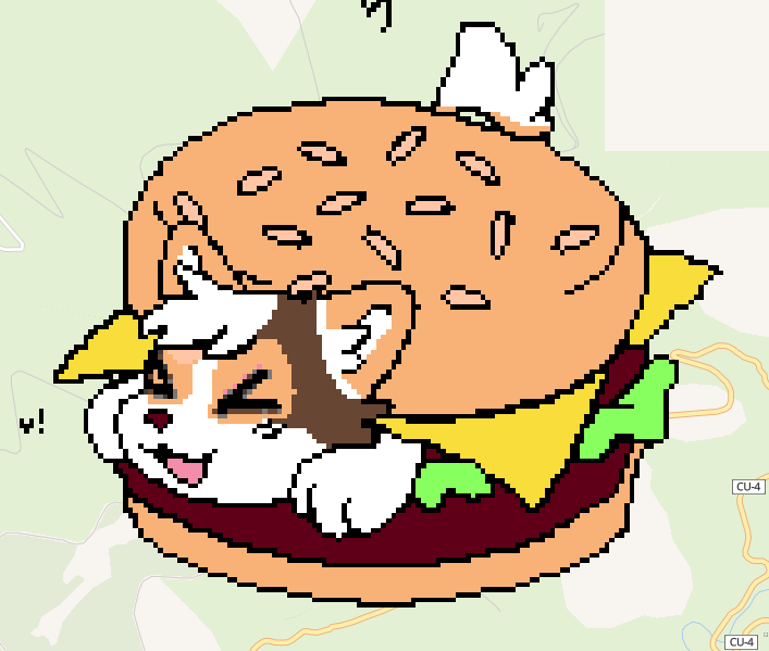 HAMBURGER!!