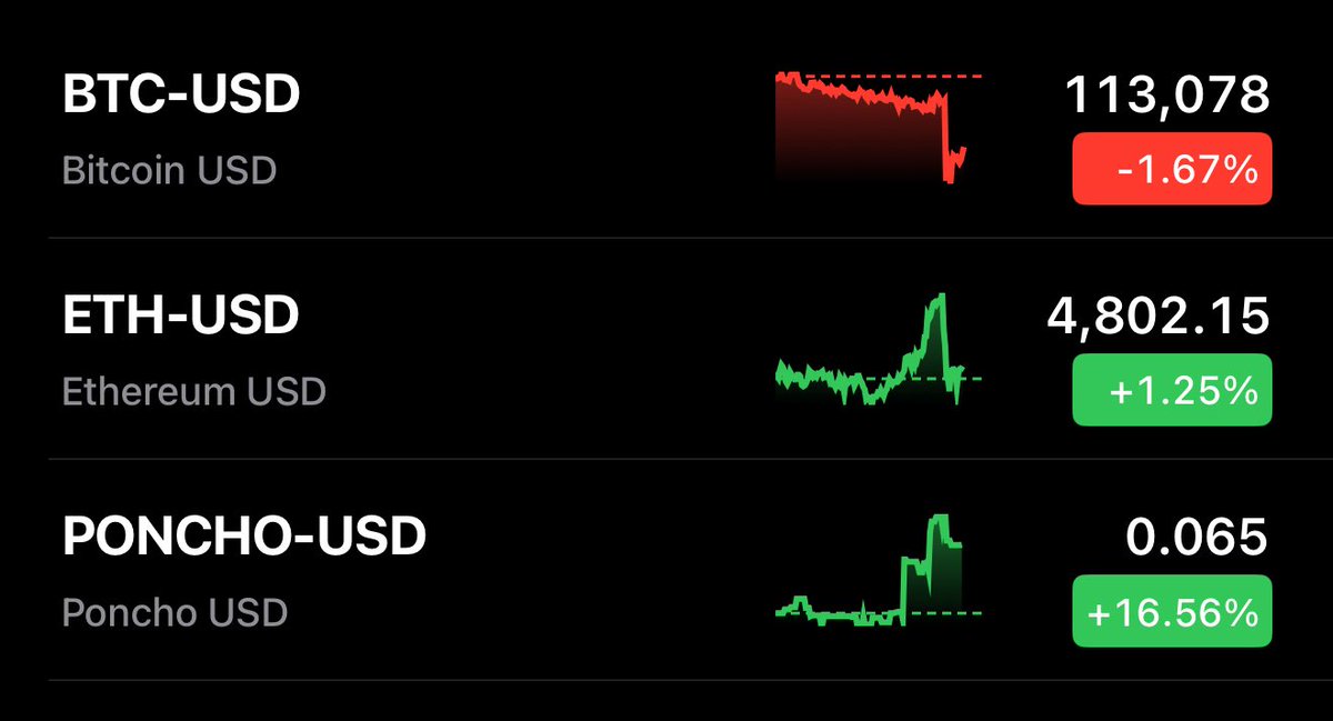 Not sure what’s the deal with these other coins but $PONCHO remains on course 🚀

<a href="/ponchoBASE/">Poncho on BASE</a> 😺