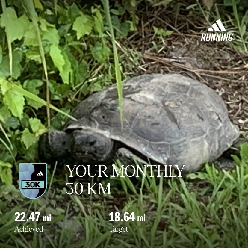 peacefulPru's tweet image. #walkRun #FitnessChallenge goal #50k