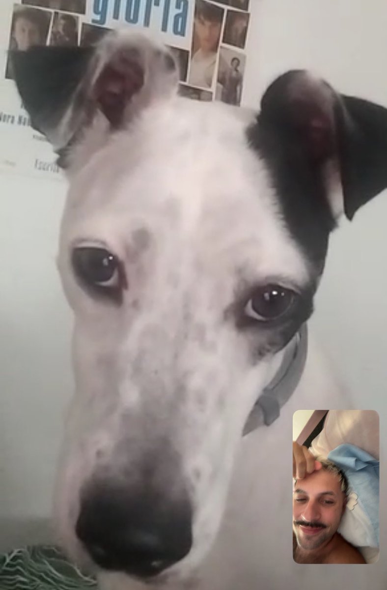 juzgándome x videollamada xq lleva casi un mes sin verme el pelo 💔