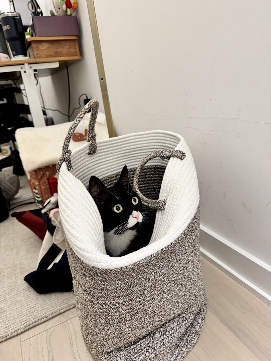 PrometheusKT's tweet image. 🤍