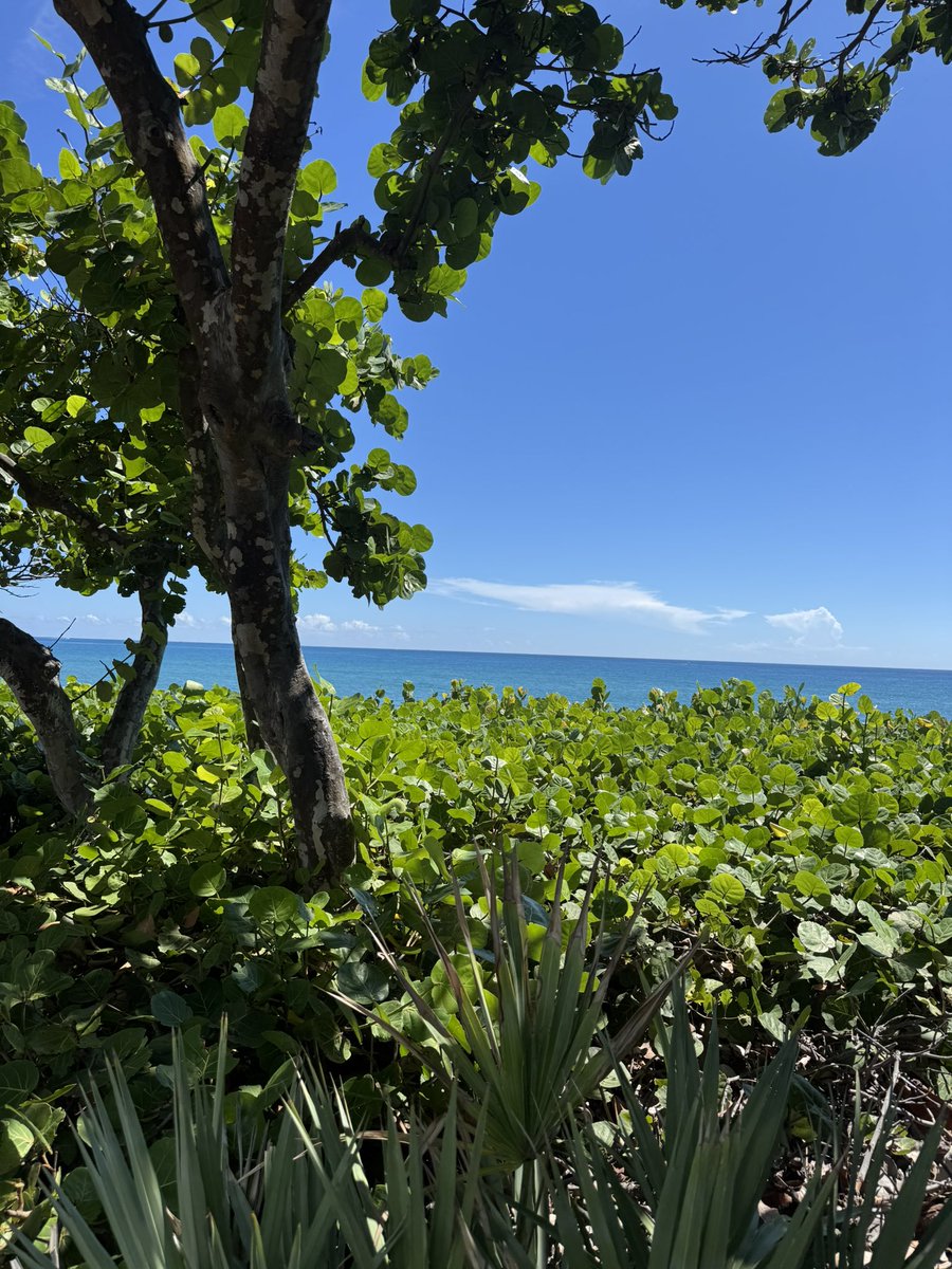 matthewimproves's tweet image. Live intentionally. Warrior Arc soon.